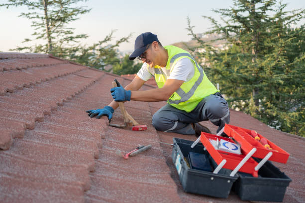 Quick and Trustworthy Emergency Roof Repair Services in Lealman, FL