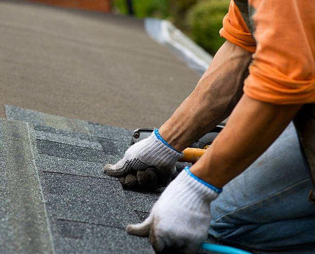 Residential Roof Replacement in Lealman, FL